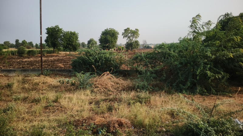  Agricultural Land 57000 Sq.ft. for Sale in Nandura, Buldana