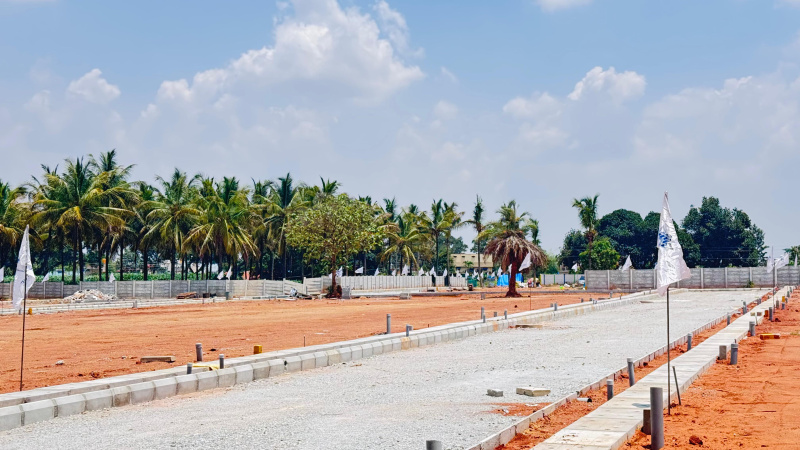  Residential Plot 600 Sq.ft. for Sale in Doddaballapur, Bangalore