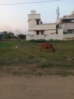  Commercial Land for Sale in Vasan Nagar, Tiruchirappalli