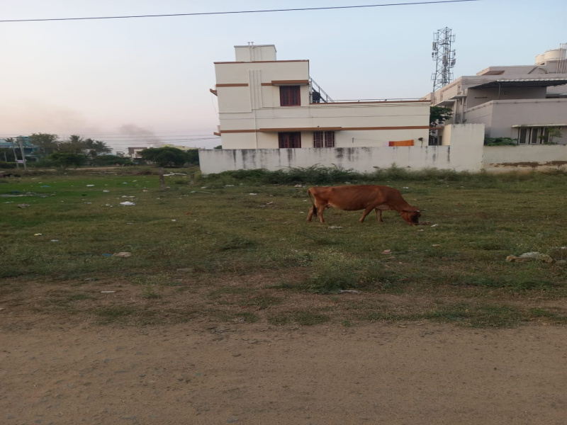  Commercial Land 2275 Sq.ft. for Sale in Vasan Nagar, Tiruchirappalli