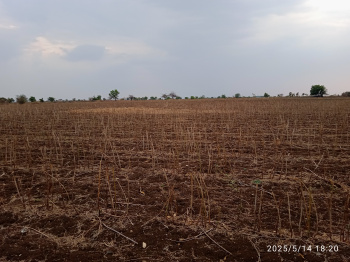  Agricultural Land for Sale in Murtijapur, Akola