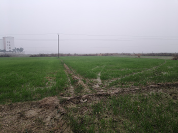  Residential Plot for Sale in Turki, Muzaffarpur