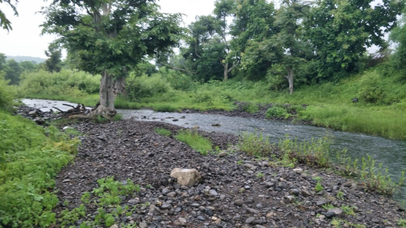 1 RK Farm House 4000 Sq.ft. for Sale in A B Road, Indore