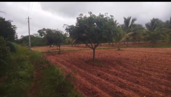  Residential Plot for Sale in Varuna, Mysore