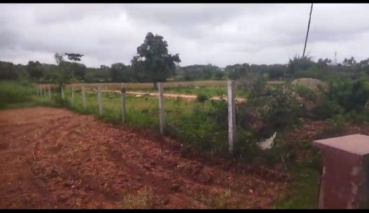  Residential Plot 2 Acre for Sale in Varuna, Mysore