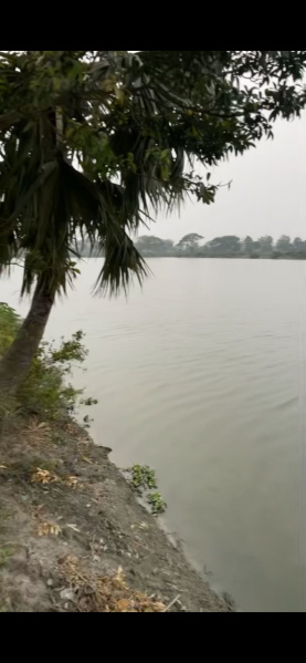  Agricultural Land 21 Sq.ft. for Sale in New Town, Kolkata