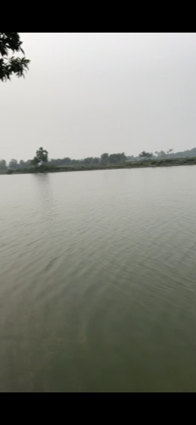  Agricultural Land 21 Sq.ft. for Sale in New Town, Kolkata