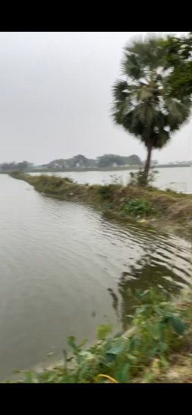  Agricultural Land 4 Acre for Rent in Bhangar Raghunathpur, South 24 Parganas