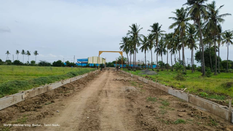  Agricultural Land 8000 Sq.ft. for Sale in Acharapakkam, Chengalpattu