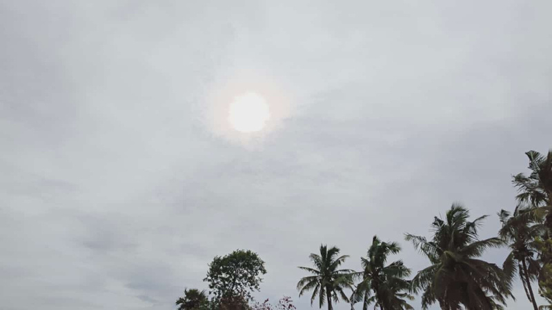  Agricultural Land 8000 Sq.ft. for Sale in Acharapakkam, Chengalpattu