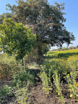  Residential Plot for Sale in Nalegaon, Latur