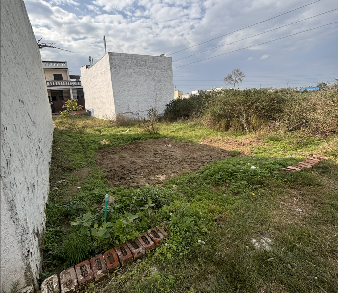 Residential Plot 1500 Sq.ft. for Sale in Rama Mandi, Jalandhar