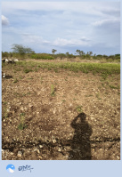  Agricultural Land for Sale in Parner, Ahmednagar
