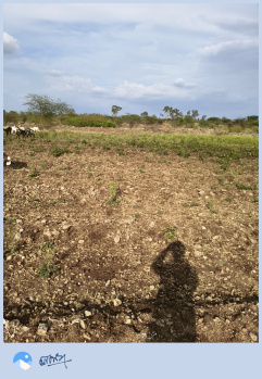  Agricultural Land for Sale in Darewadi, Ahmednagar