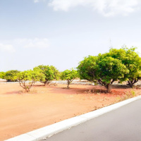  Residential Plot for Sale in Denkanikottai Road, Hosur