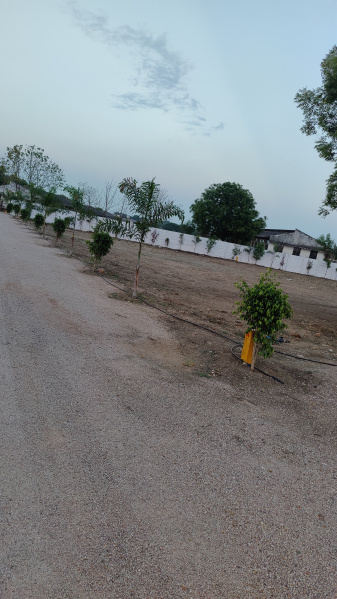  Agricultural Land 363 Sq. Yards for Sale in Yennepally, Vikarabad