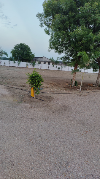 Agricultural Land 363 Sq. Yards for Sale in Yennepally, Vikarabad