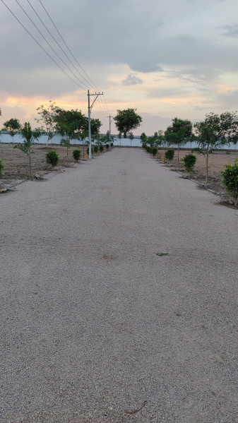  Agricultural Land 363 Sq. Yards for Sale in Yennepally, Vikarabad