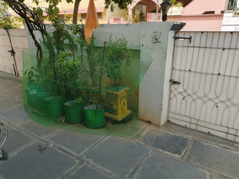 3 BHK House 2782 Sq.ft. for Sale in Amaravathi Road, Guntur