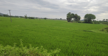  Agricultural Land for Sale in Mamandur, Chengalpattu