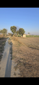  Residential Plot for Sale in Patwari Ka Nagla, Aligarh
