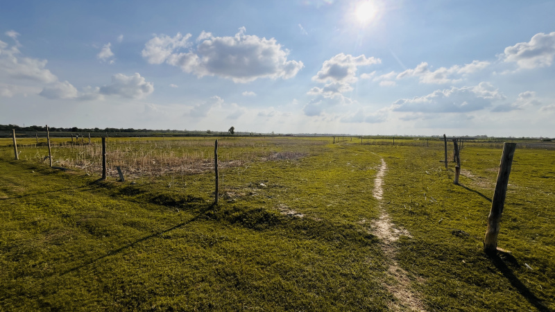  Commercial Land 16332 Sq.ft. for Sale in Ayodhya, Faizabad