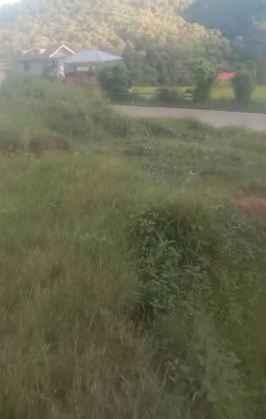 10 Biswa Agricultural/Farm Land for Sale in Joginder Nagar, Mandi