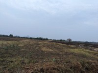  Agricultural Land for Sale in Tadikonda, Guntur