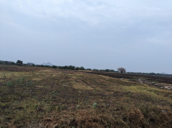  Agricultural Land for Sale in Tadikonda, Guntur