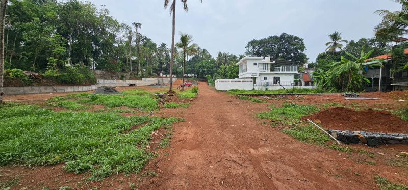  Residential Plot 7 Cent for Sale in Punkunnam, Thrissur