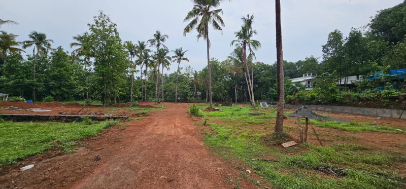  Residential Plot 7 Cent for Sale in Punkunnam, Thrissur
