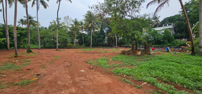  Residential Plot 7 Cent for Sale in Punkunnam, Thrissur