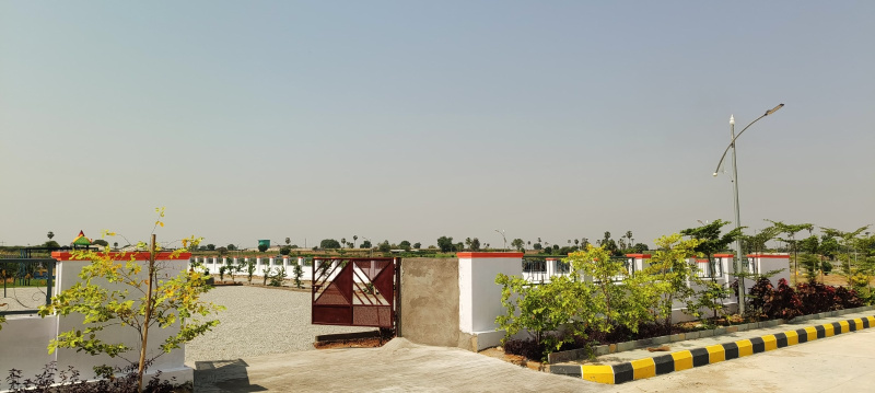  Residential Plot 225 Sq. Yards for Sale in Shamshabad, Hyderabad