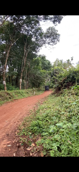  Agricultural Land 1 Acre for Sale in Wandoor, Malappuram