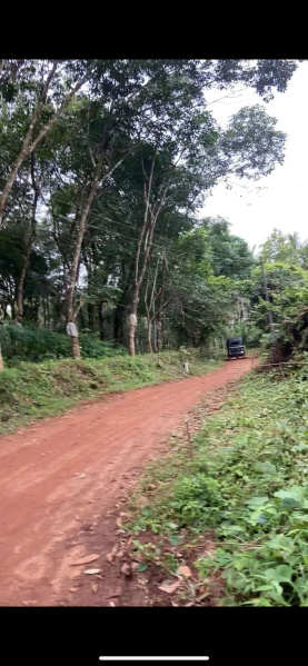  Agricultural Land 1 Acre for Sale in Wandoor, Malappuram