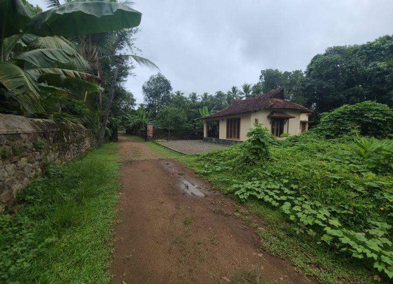  Residential Plot 125000 Sq.ft. for Sale in Kozhencherry, Pathanamthitta