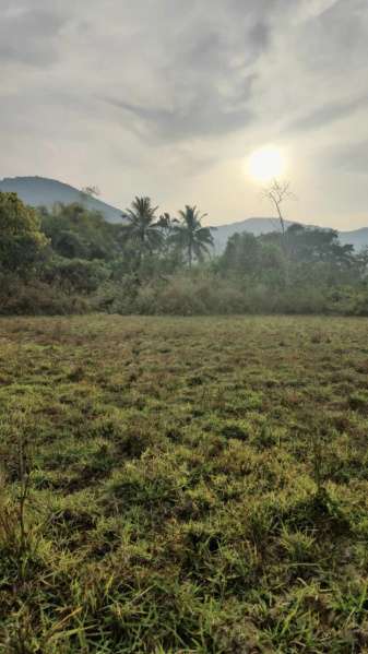  Agricultural Land 20 Acre for Sale in Brahma Nagar, Berhampur