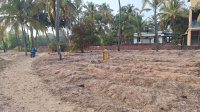  Residential Plot for Sale in Cheruvathur, Kasaragod