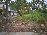  Residential Plot for Sale in Olavakkode, Palakkad