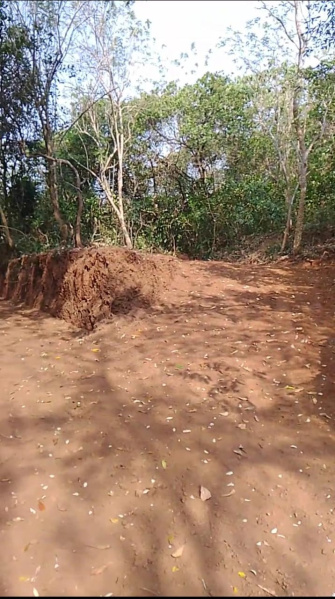  Residential Plot 35 Cent for Sale in Anjarakandy, Kannur