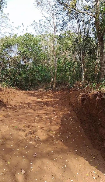  Residential Plot 35 Cent for Sale in Anjarakandy, Kannur