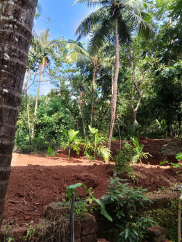  Residential Plot for Sale in Iriveri, Kannur