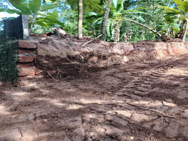  Residential Plot 30 Cent for Sale in Iriveri, Kannur