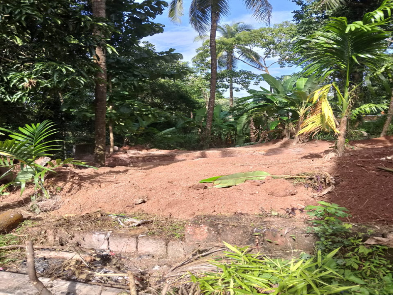  Residential Plot 30 Cent for Sale in Iriveri, Kannur
