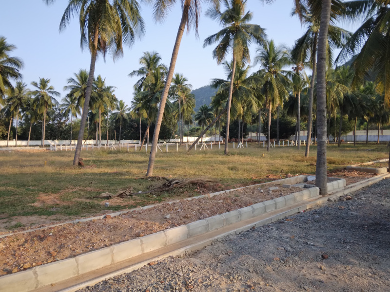  Residential Plot 500 Sq. Yards for Sale in Anandapuram, Visakhapatnam