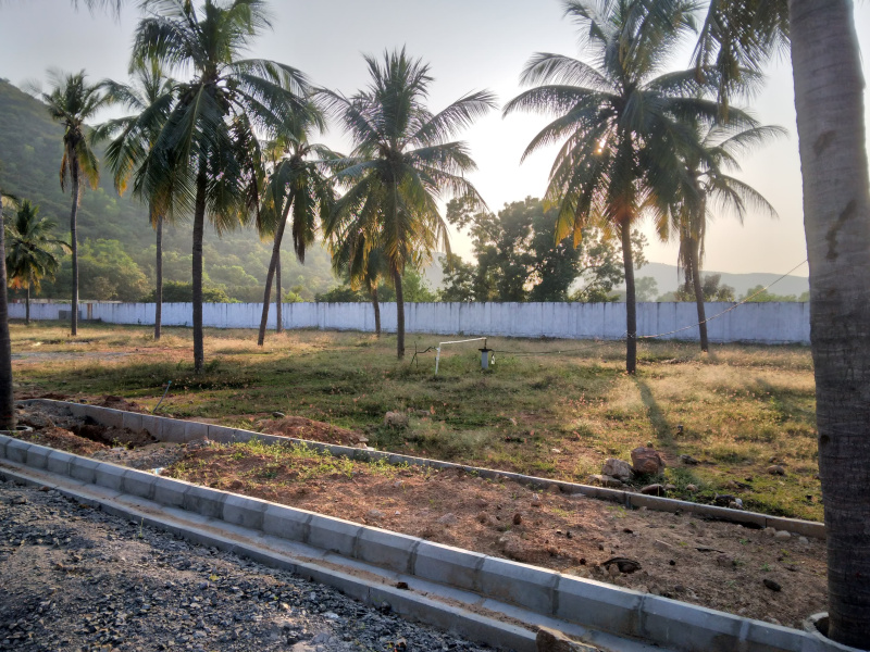  Residential Plot 500 Sq. Yards for Sale in Anandapuram, Visakhapatnam