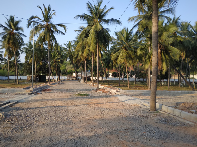  Residential Plot 500 Sq. Yards for Sale in Anandapuram, Visakhapatnam