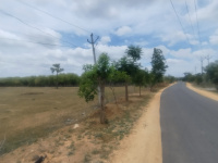  Agricultural Land for Sale in Choutuppal, Yadadri Bhuvanagiri