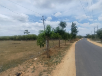 Agricultural Land for Sale in Choutuppal, Yadadri Bhuvanagiri