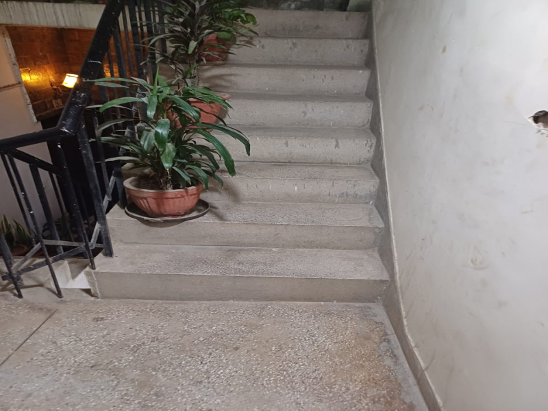 1 RK Apartment 700 Sq.ft. for Rent in Alaknanda, Delhi